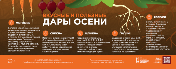 Вкусные и полезные дары осени